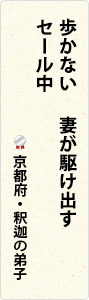 歩かない　妻が駆け出す　セール中　京都府・釈迦の弟子